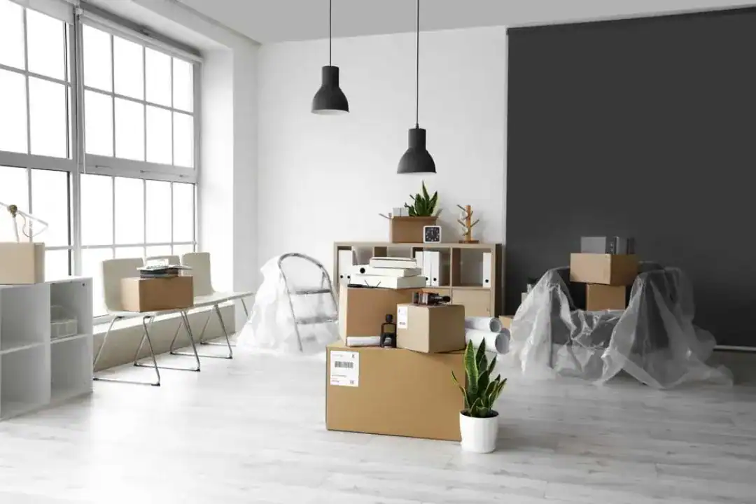 Removalists Dee Why