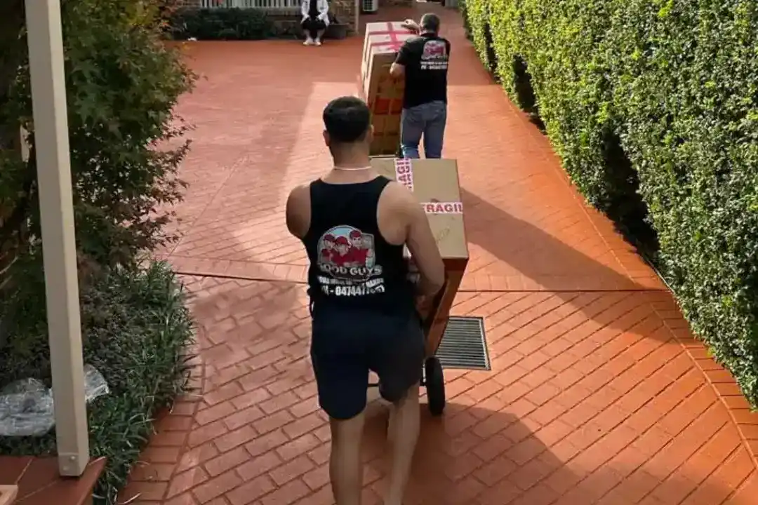 Removalists Dee Why